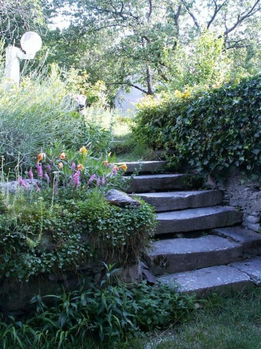 Magnifique Maison De Maitre Du 18E Avec Jardin Luz-Saint-Sauveur Exterior photo